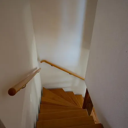 Apartament Olive Tree
