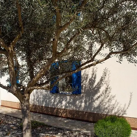 Olive Tree Appartement