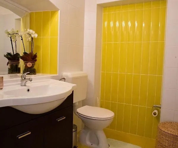 Olive Tree 우마그