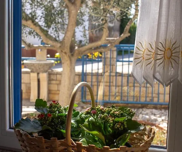 Olive Tree 아파트 우마그