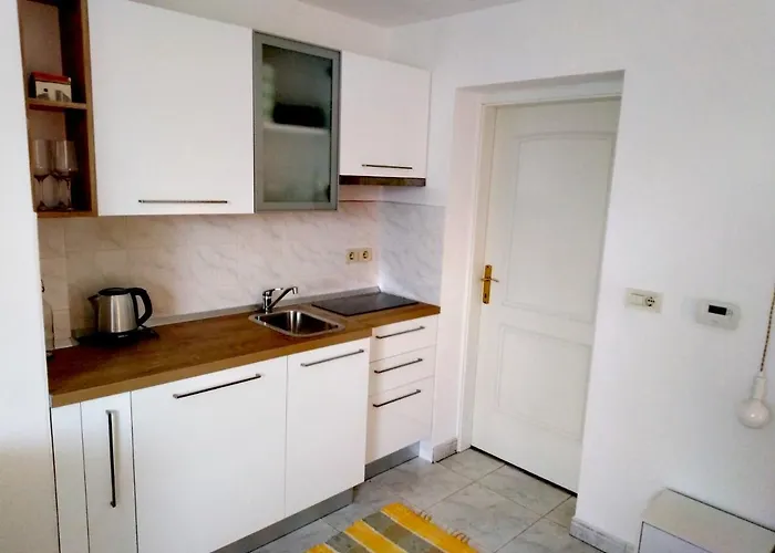 Olive Tree * 우마그