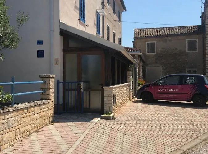 Olive Tree * 우마그