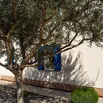 Olive Tree Appartement