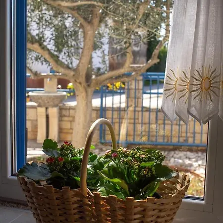 Olive Tree Апартаменты Умаг