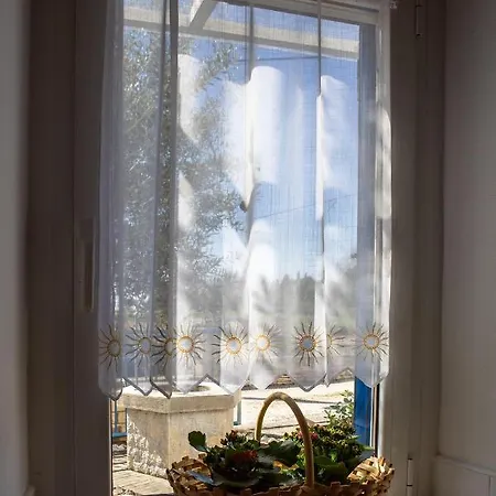 Апартаменты Olive Tree Умаг