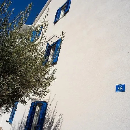 Appartement Olive Tree *