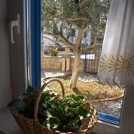 Апартаменты Olive Tree *