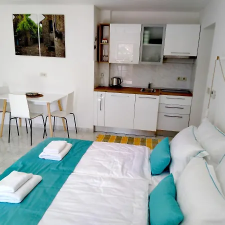 Apartman Olive Tree *