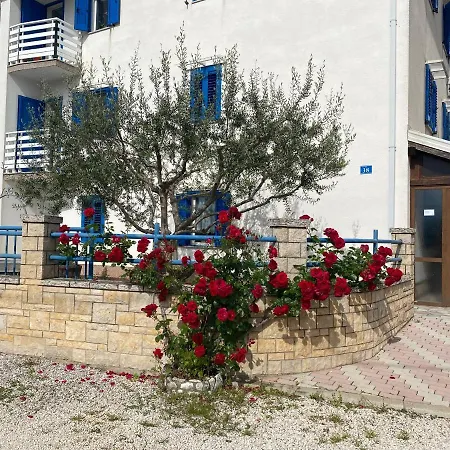 Апартаменты Olive Tree *