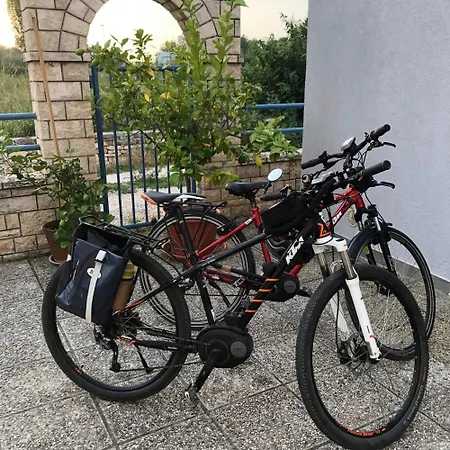 Olive Tree Apartman