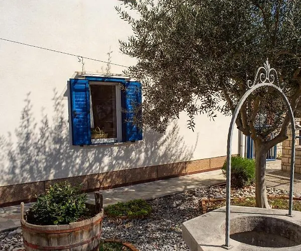 Apartment Olive Tree