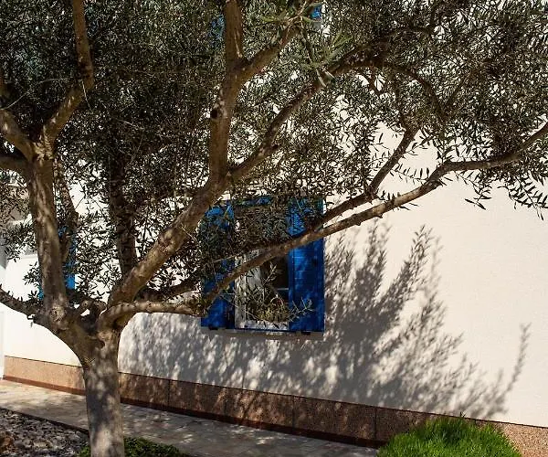 Olive Tree Apartment