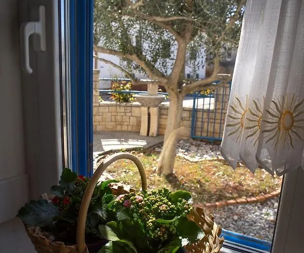 Apartment Olive Tree *
