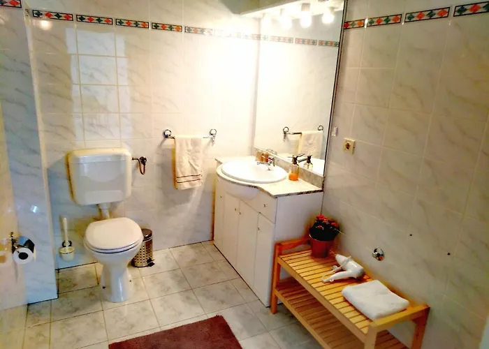 Olive Tree Apartment
