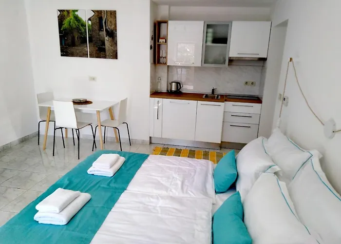 Apartman Olive Tree *