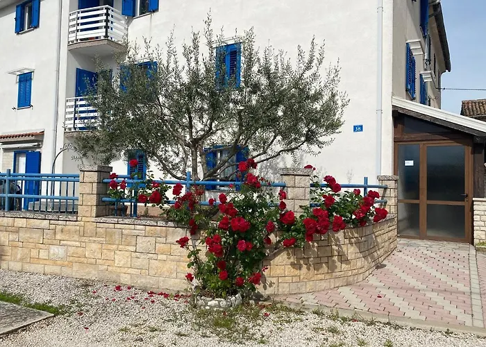 Apartment Olive Tree *